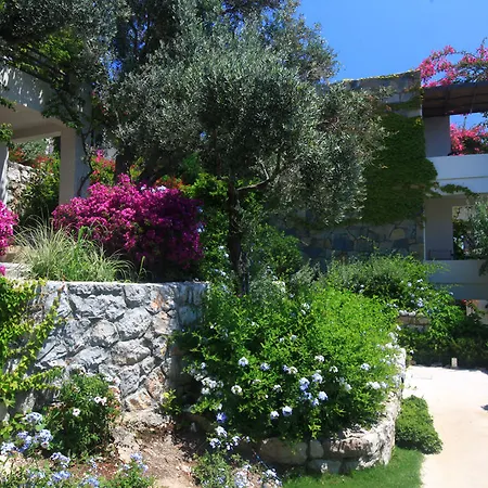 Macakizi Ośrodek wypoczynkowy 5*