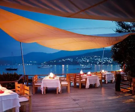 Macakizi Golturkbuku