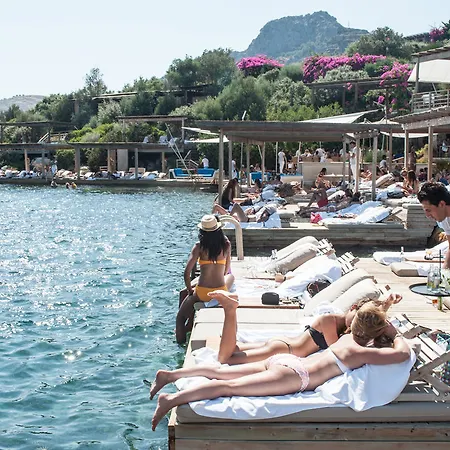 Macakizi ゴルトゥルブク