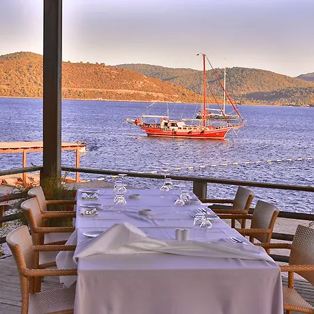 Macakizi リゾート ゴルトゥルブク