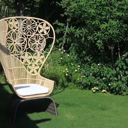 Macakizi ゴルトゥルブク