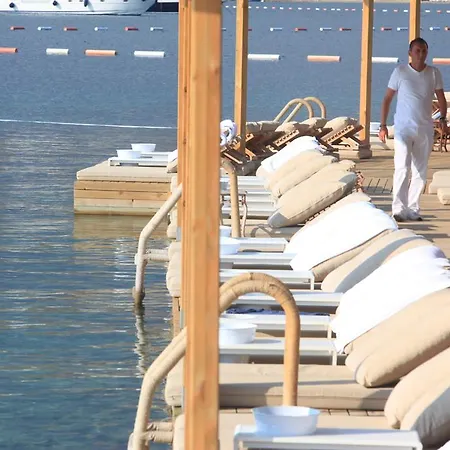 Macakizi ゴルトゥルブク