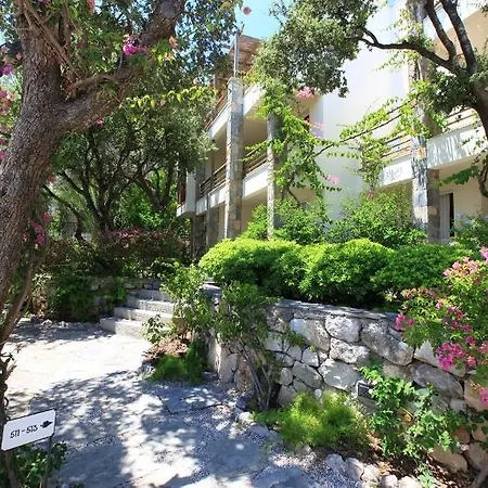 リゾート Macakizi