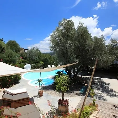 Macakizi ゴルトゥルブク