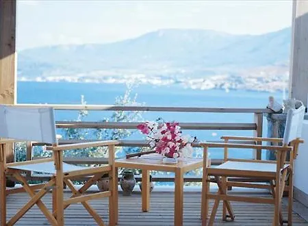 Macakizi ゴルトゥルブク